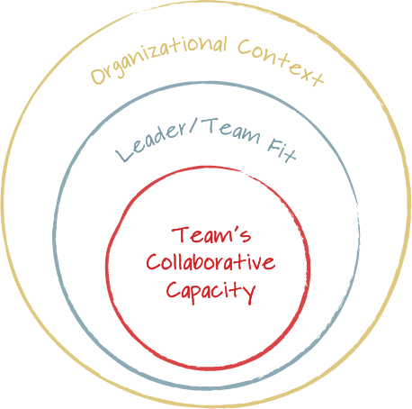 systemic team coaching