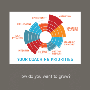coaching-wheel-priorities 2x